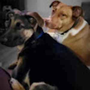 Meet your Posher, Anisa